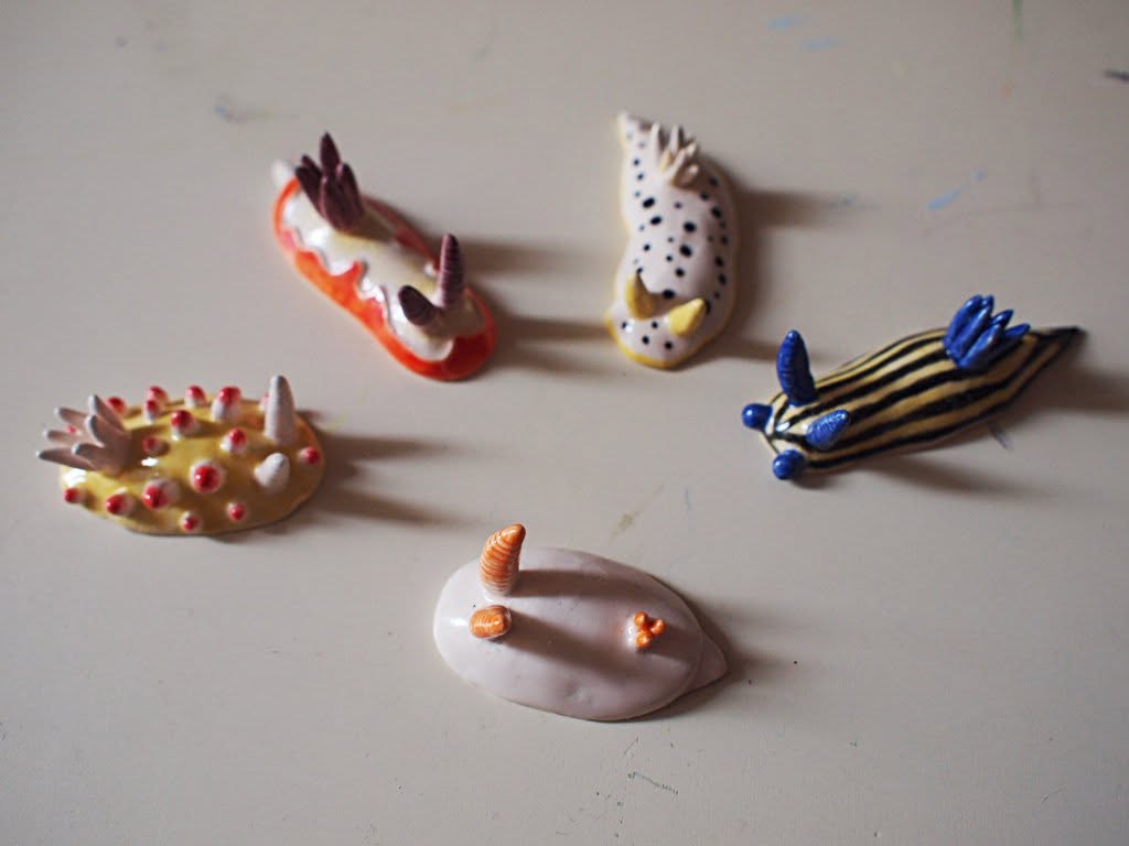 Nudibranch Pottery