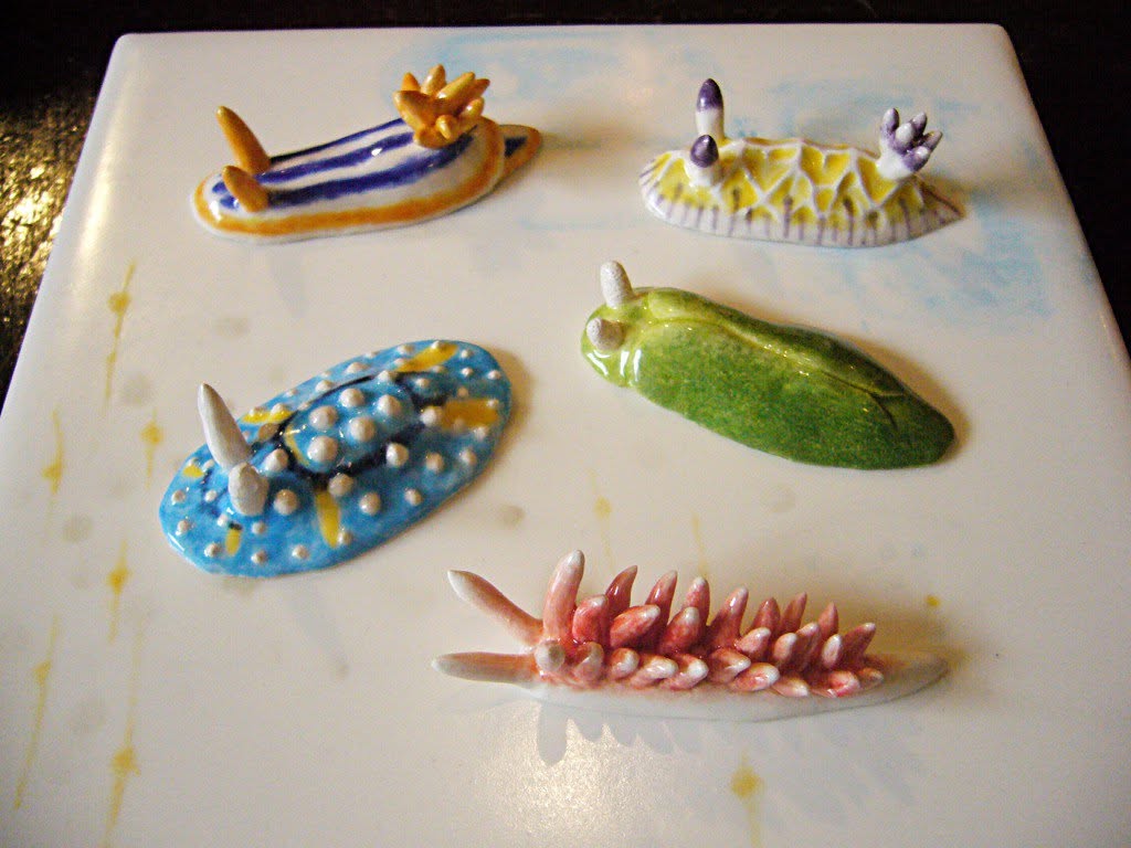 Sea Slug 02